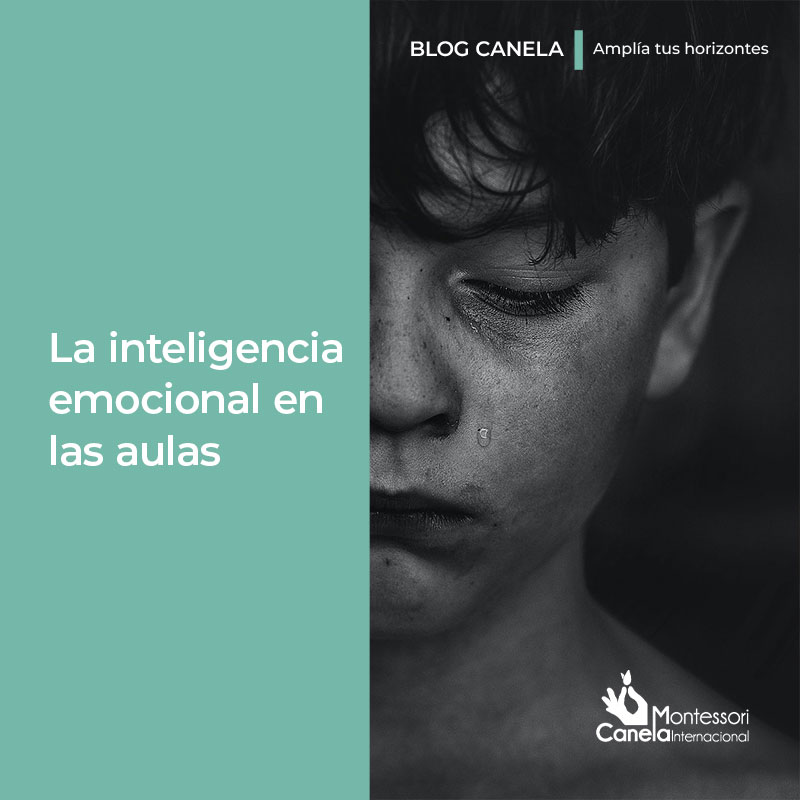 Inteligencia Emocional En Las Aulas Montessori Canela